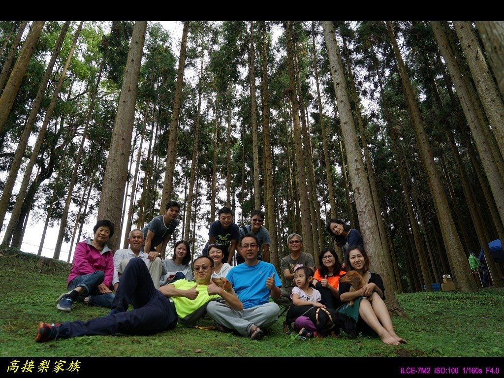 PhotoCap_037.jpg