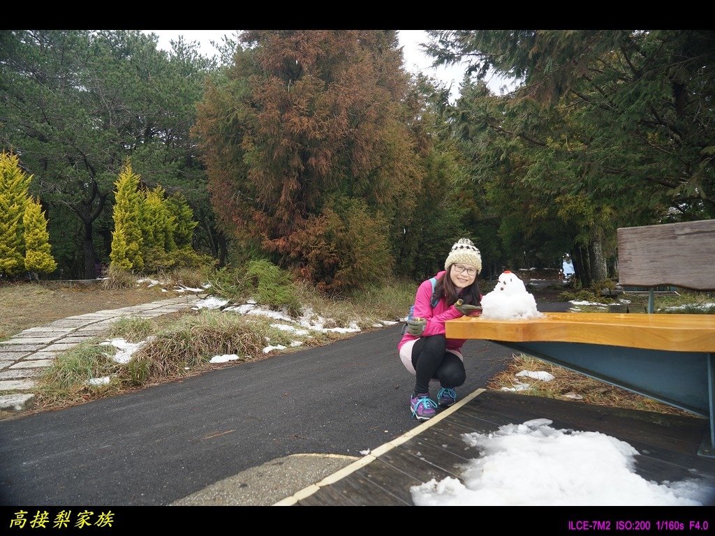 PhotoCap_040.jpg