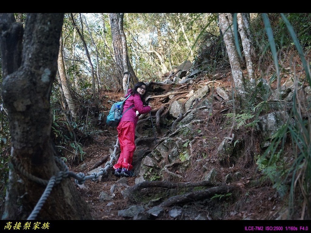 PhotoCap_012.jpg