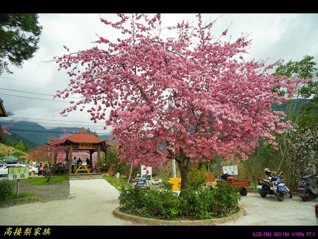 PhotoCap_042.jpg