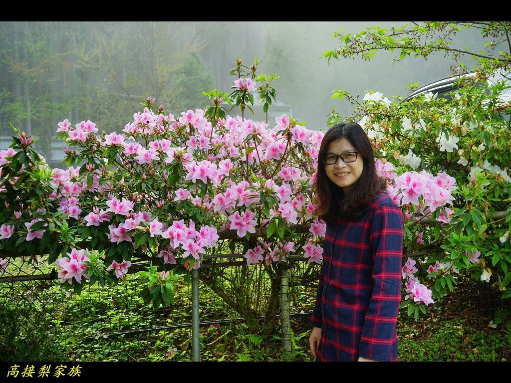 PhotoCap_010.jpg