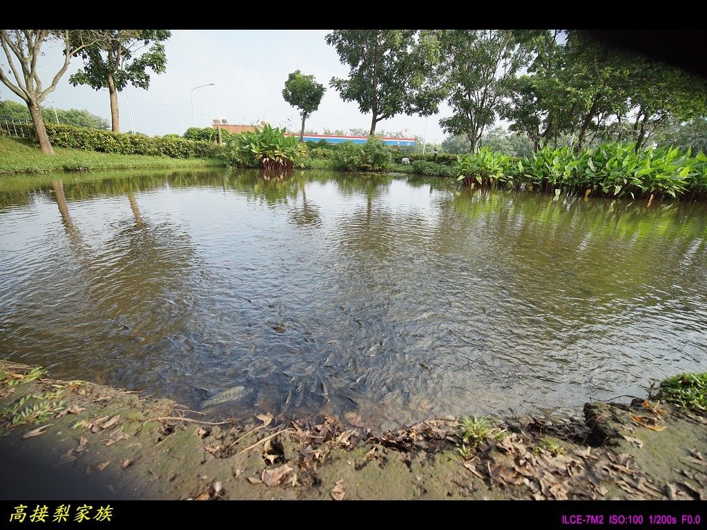 PhotoCap_029.jpg