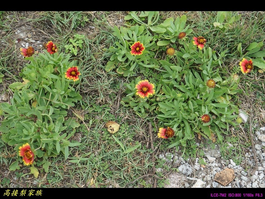 PhotoCap_002.jpg