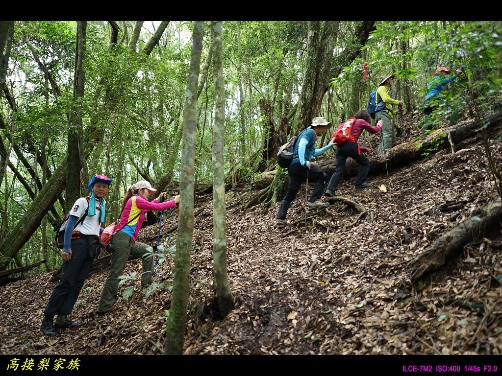 PhotoCap_024.jpg