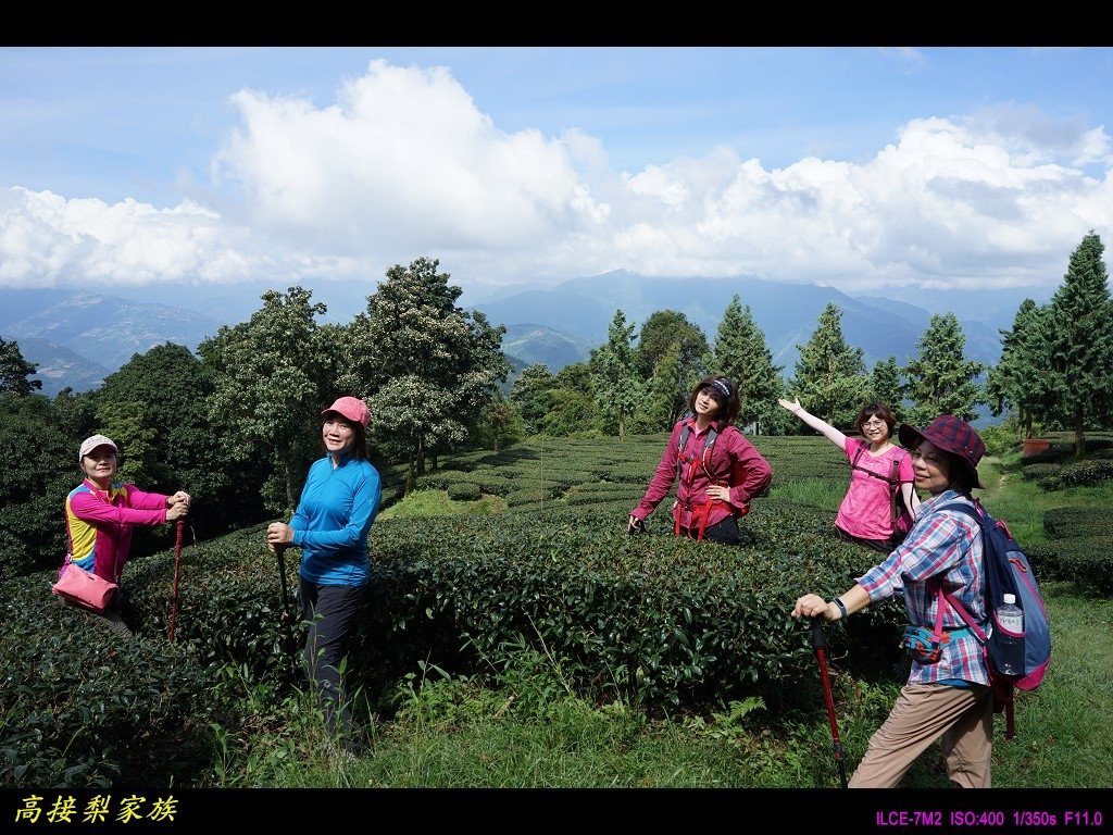 PhotoCap_029.jpg