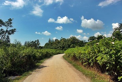 IMG_1932_.JPG