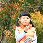 IMG_9385