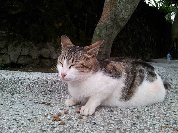 20140329_170958.jpg