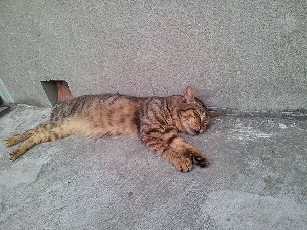 20140329_171250.jpg