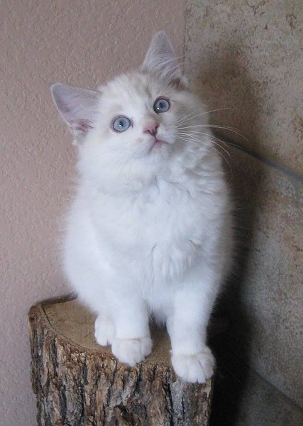 Mina 12 weeks.jpg