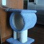 DSC03005.JPG