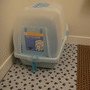 DSC03008.JPG