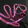 DSC03013.JPG