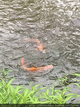青森山區19.JPG