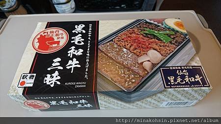 新幹線12.JPG