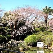 IMG_9865