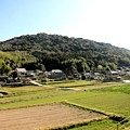 IMG_9551