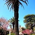 IMG_9864