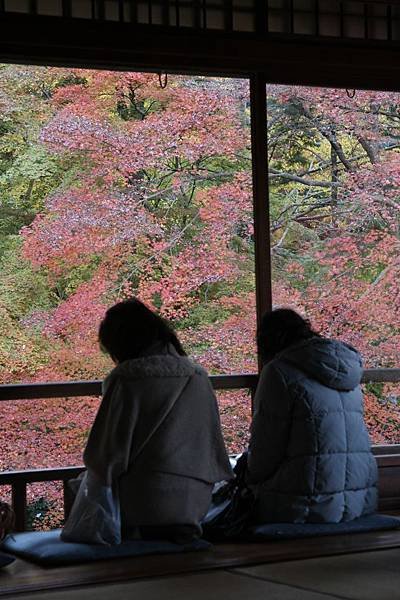 IMG_4898.JPG
