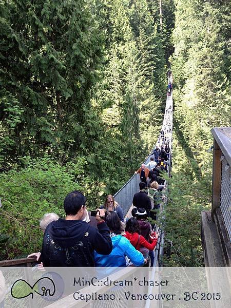 Capilano_03.jpg