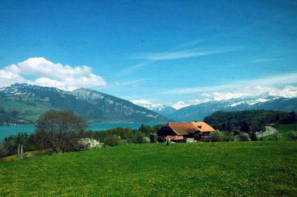 DSC_1479.JPG