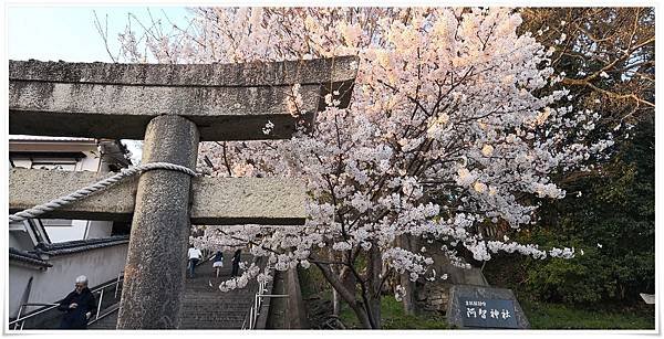 IMG_20180328_175130.jpg