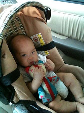 IMG_1532[1]