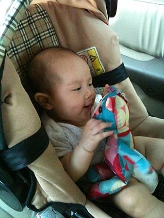 IMG_1530[1]
