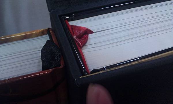IMAG0045