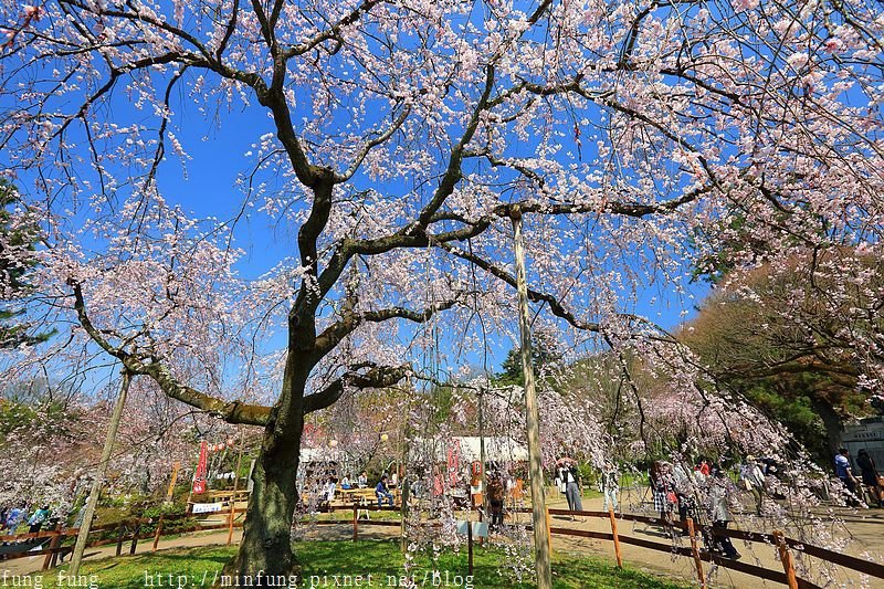 Kyoto_150330_0552.jpg