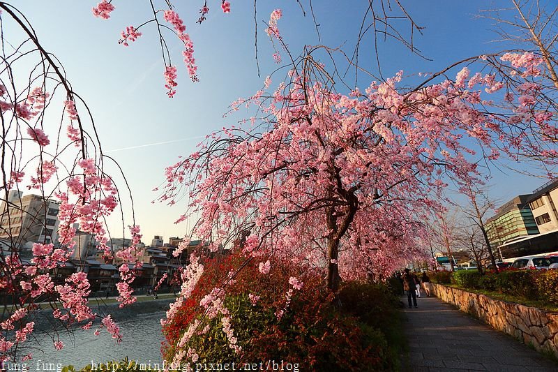 Kyoto_150331_1116.jpg