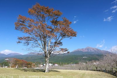 Kyushu_161111_279.jpg