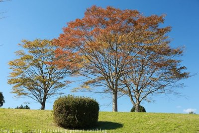 Kyushu_161111_285.jpg