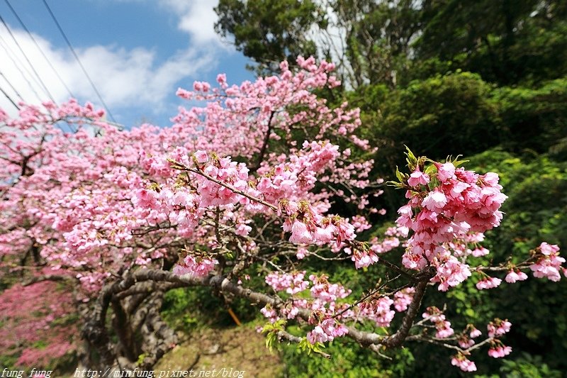 Okinawa_1801_0462.jpg