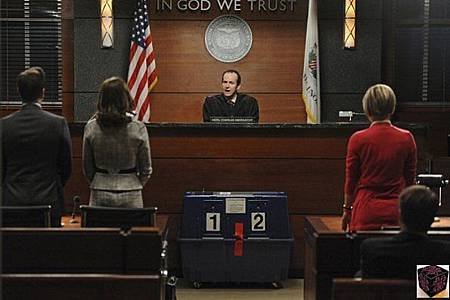 The Good Wife 4x22 (9)