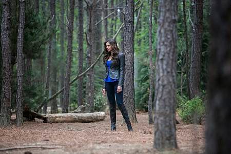 The Vampire Diaries 4x22 (2)