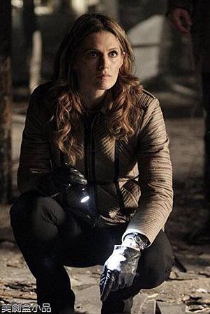 Castle6x11 (6).jpg