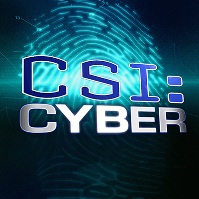 CSI Cyber s01.png