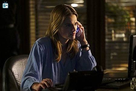 Castle7x21(10).jpg