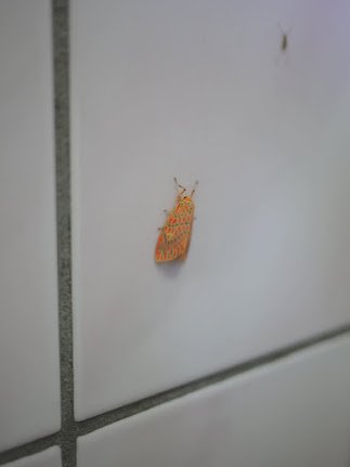P1240543