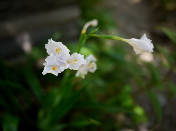 P1280383