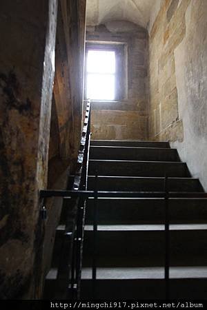 IMG_6791