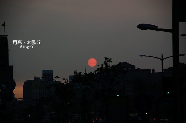 DSC_8111ch.jpg
