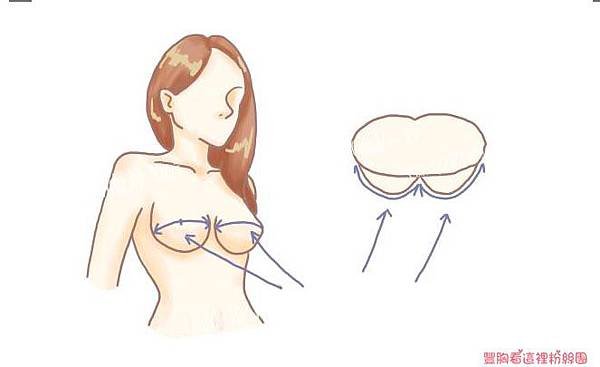 大小奶乳頭.jpg