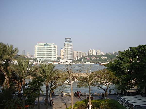 DSC08313