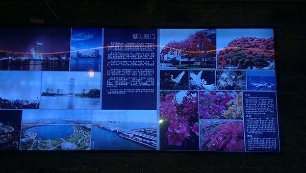 IMAG0254