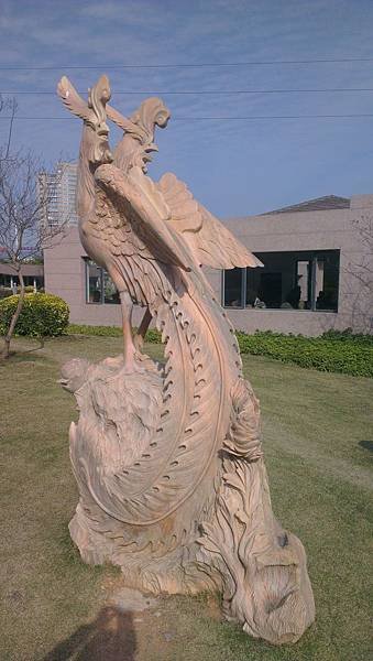 IMAG0258