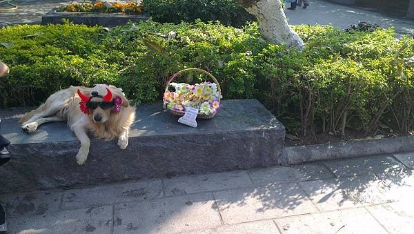 IMAG0244