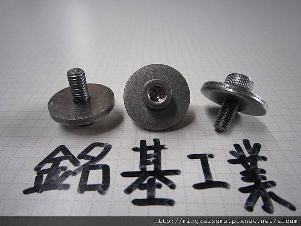 組合螺絲SEMS SCREW 合金鋼內六角螺絲套附平華司(20X2.5)組合M5X12ALLOY STEELHEX SOCKET CAP SCREWS WITH FLAT WASHER ASSEMBLED  