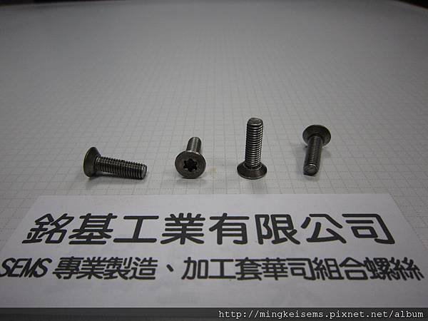 白鐵皿頭內梅花螺絲 M5X16 STAINLESS STEEL TORX SCREWS M5X16